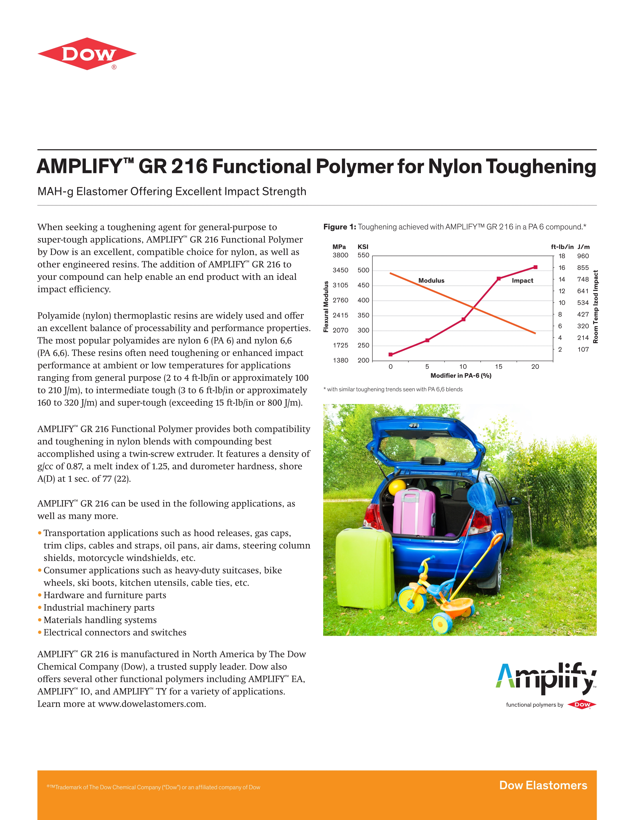 Amplify GR 216_1.jpg